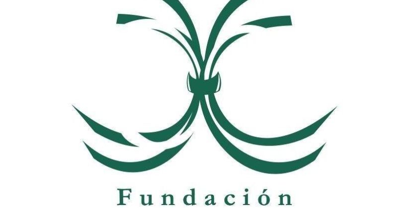 Imagen de WhatsApp 2024-06-04 a las 12.18.04_27bb132d